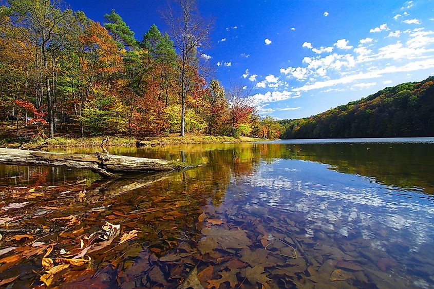 Autumn at Brown County State Park, Indiana.