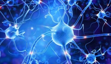 Biogen Zorevunersen Dravet