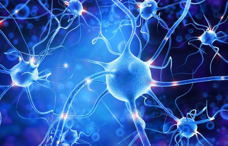 Biogen Zorevunersen Dravet