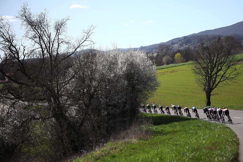 The pack rides during the 5th stage of the Paris-Nice cycling race, 206.3 km between Cormoranche-sur-Sa&ocirc;ne and Colombier-le-Vieux, on March 12, 2026. (Photo by Anne-Christine POUJOULAT / AFP)