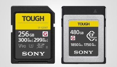 Sony temporarily suspends memory card sales due to shortages