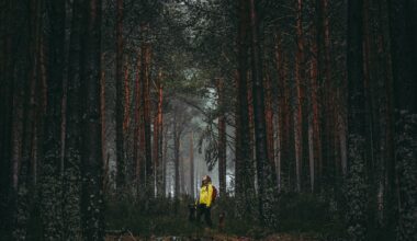 woman standing in yellow jacket in woods