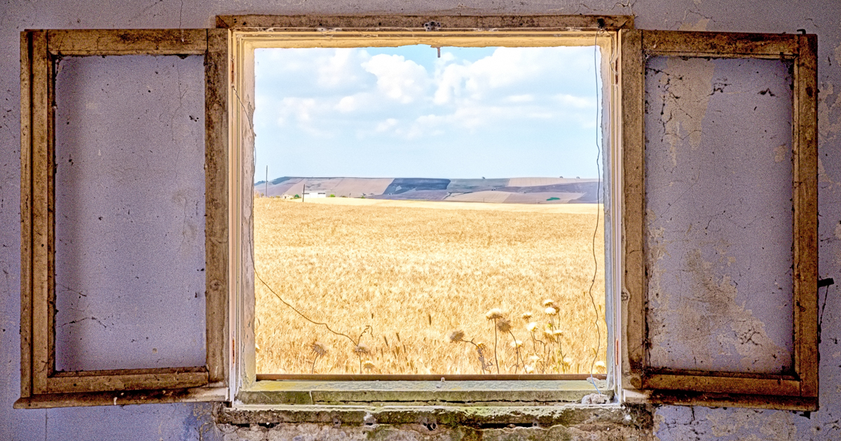 Capturing the Unseen Through Quiet, Meditative Photography