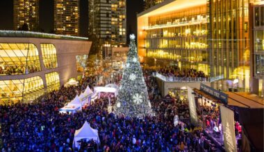 Free Rides, Market & 60ft Tree