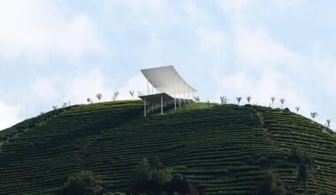 studio RE+N's floating pavilion hovers above chinese tea mountain