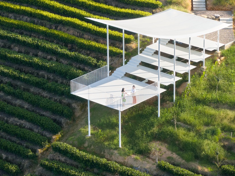 studio RE+N's floating pavilion hovers like a thin white wing above chinese tea mountain - 3