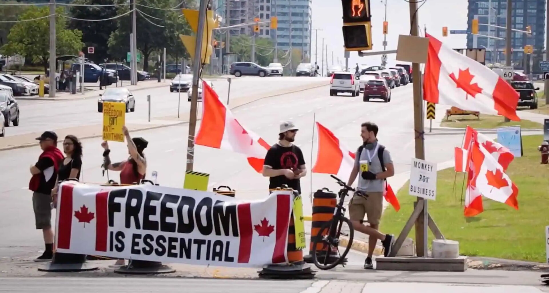 sunday protest mississauga