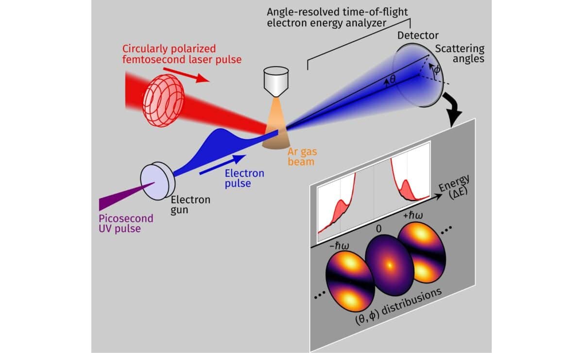 Synchronized Pulses, Scattered Electrons, First Circular Polarization Laes Signal Detected ©tokyo Metropolitan University