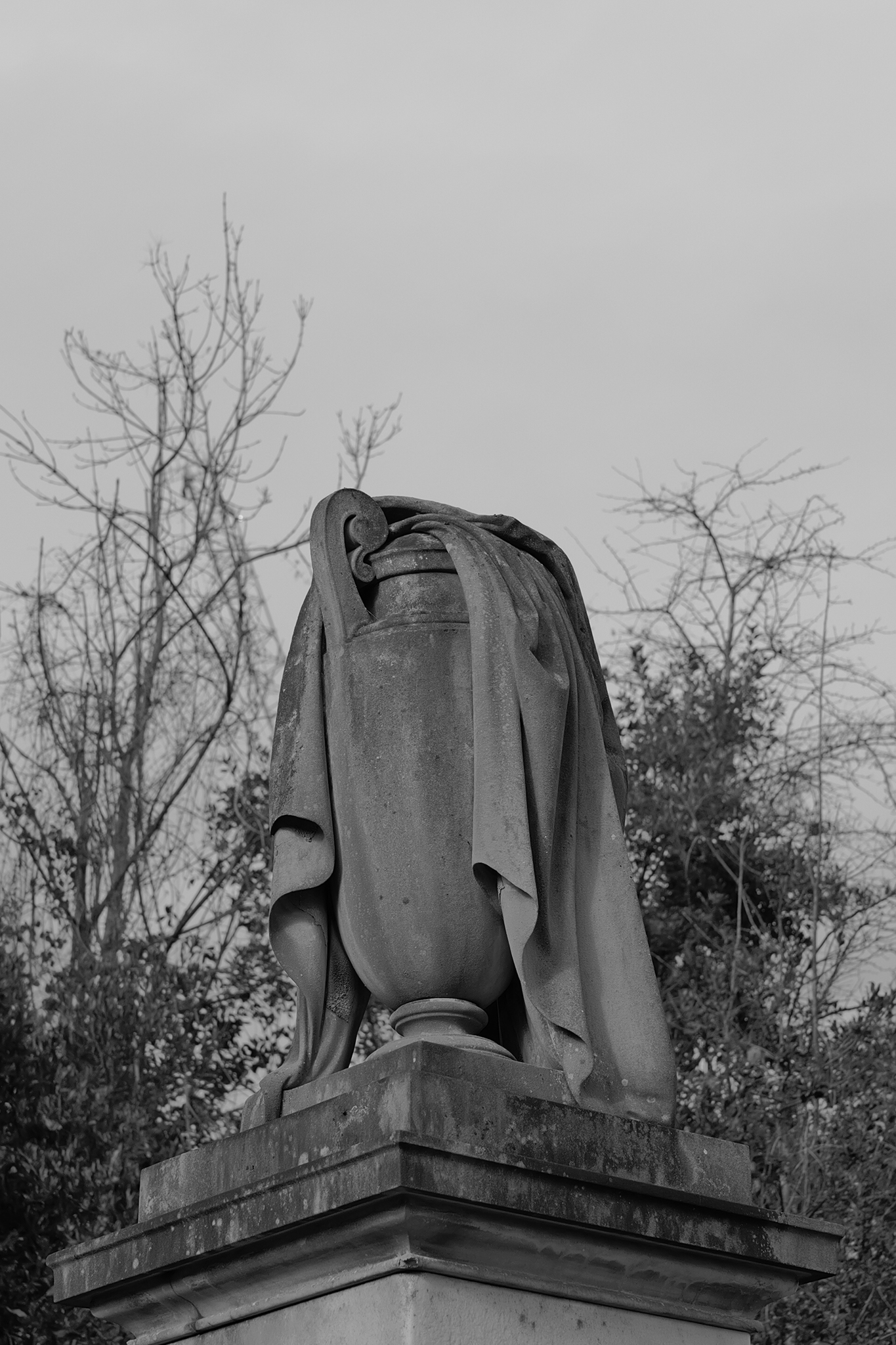 Leica Q3 Monochrom and Google Pixel 10 Pro XL comparison