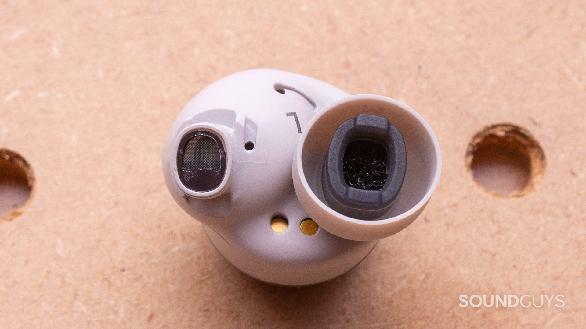 A close-up photo of the nozzle and ear tips.