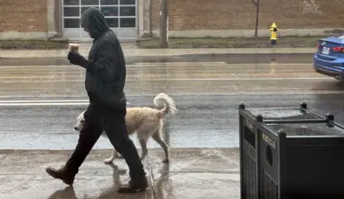 ‘Wintry mix’ expected for Toronto on the first day of spring