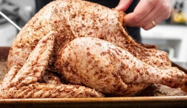 Nanoplastics May Boost Salmonella Virulence