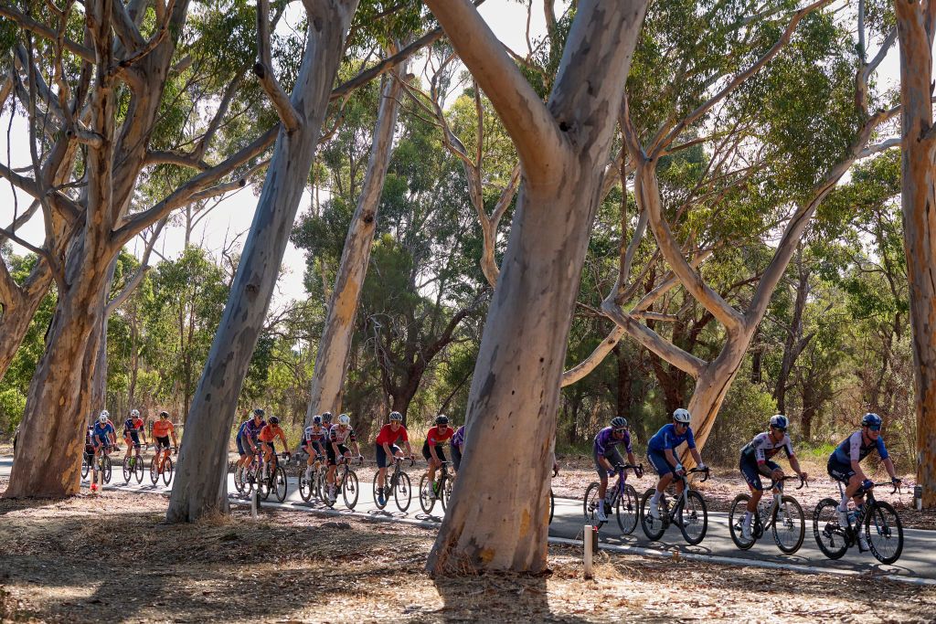 PERTH, AUSTRALIA - JANUARY 12: The peloton in action during the Men's Elite Road Race as part of the 2025 Road Nats on January 12, 2025 in Perth, Australia. (Photo by Stefan Gosatti/Getty Images)