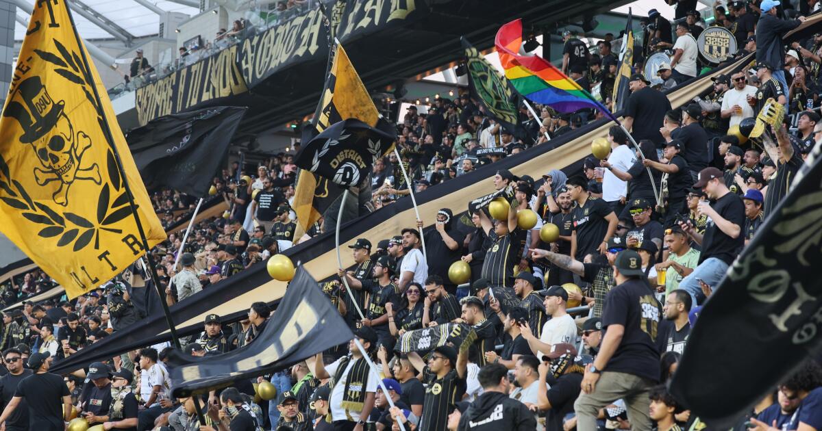 Kickback Soccer Media company confident it can cultivate audience