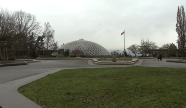 Park board approves zipline and tree canopy walk in Queen Elizabeth Park