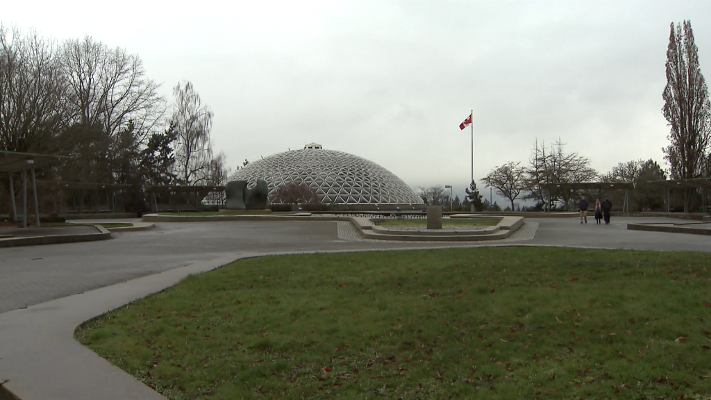 Park board approves zipline and tree canopy walk in Queen Elizabeth Park
