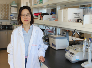 New injectable gel could help repair damaged swallowing muscles | Newsroom