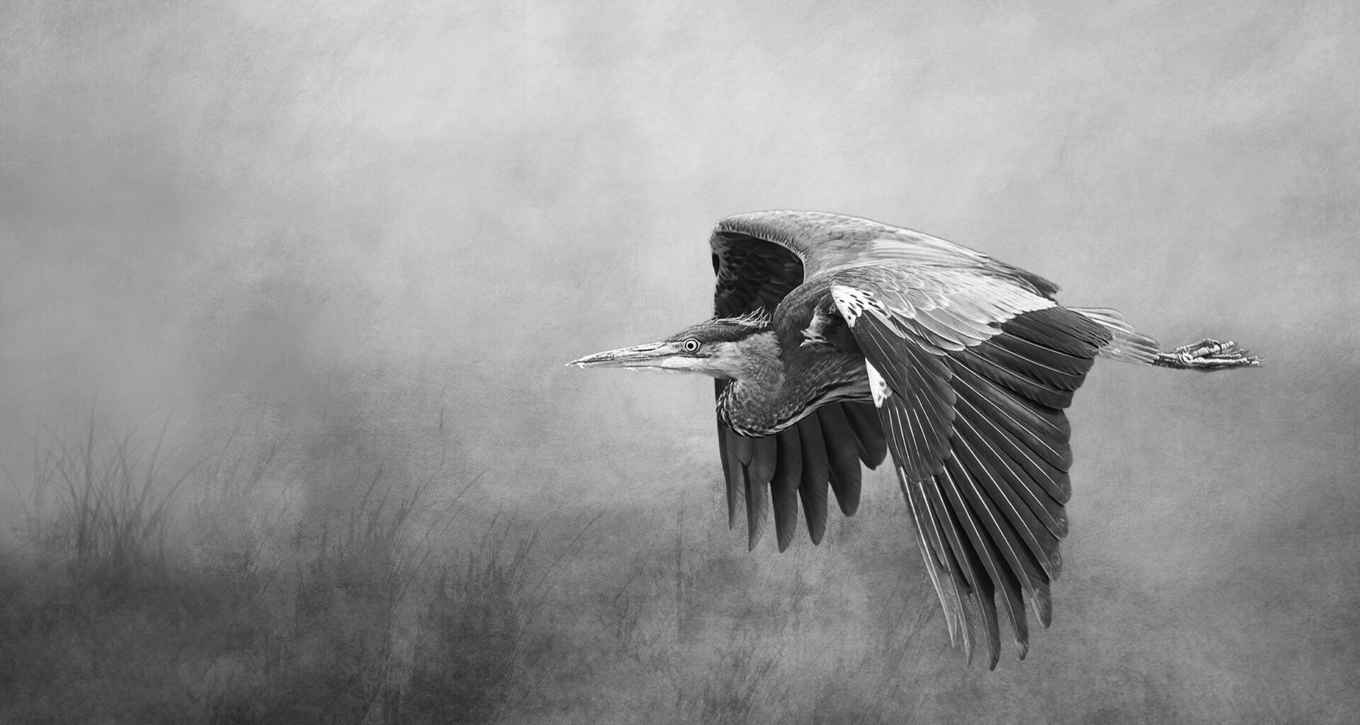 The photographer's plan wasn't to capture a heron – but now her image is in the running for top photo prize