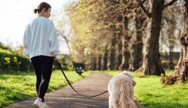 30-Day Strength and Stretch Workout for Walkers, Plus Nutrition Tips