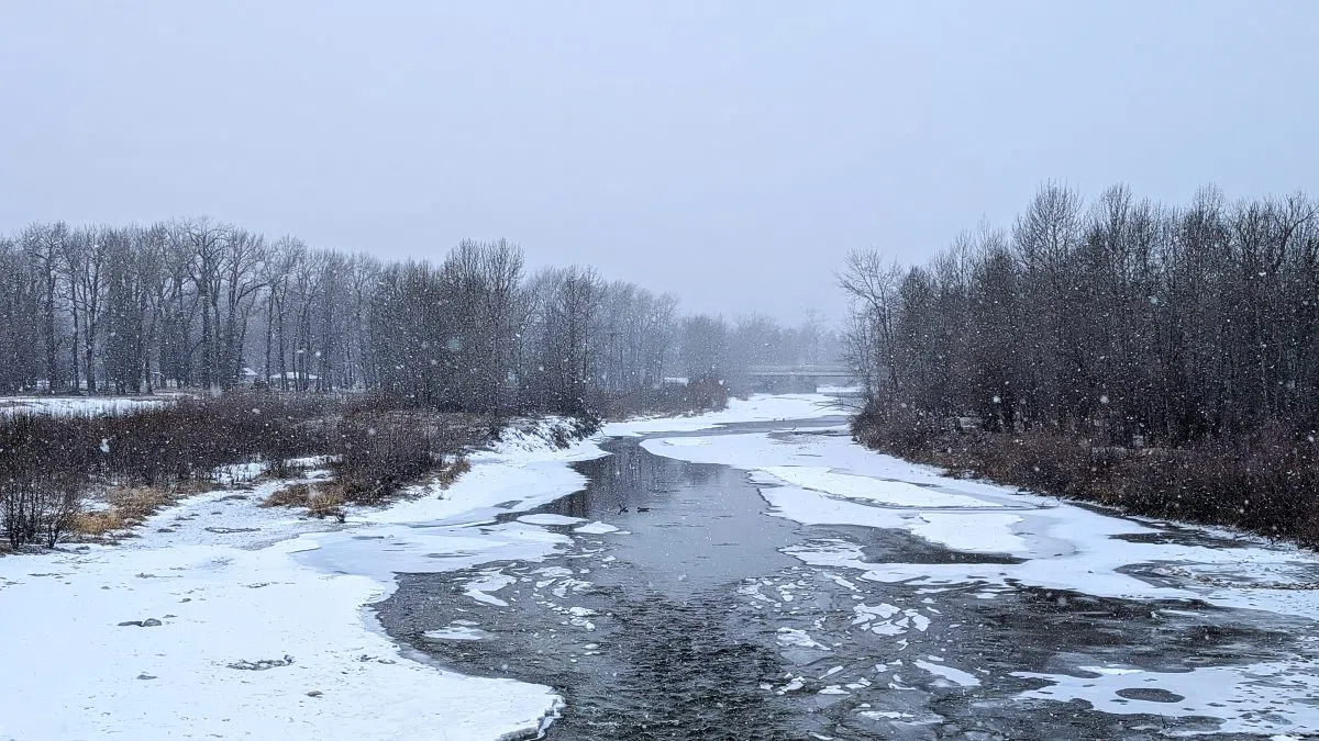 Despite the current warm weather, winter could return to Calgary soon
