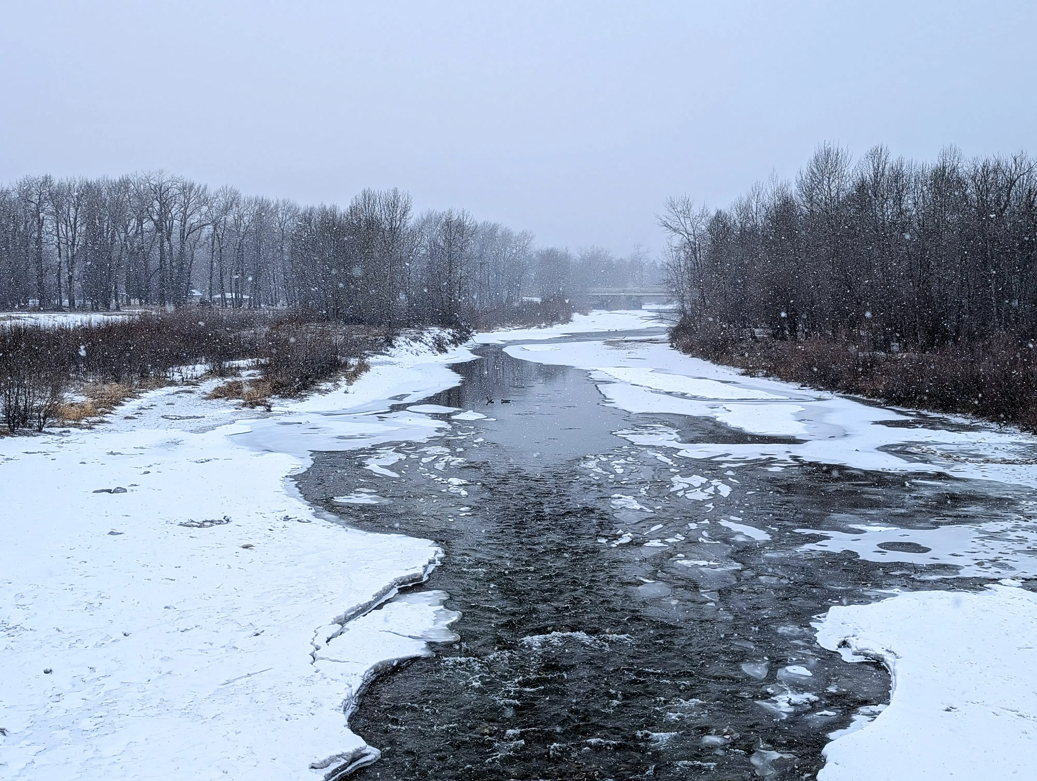 Sheep River is snowy and cold