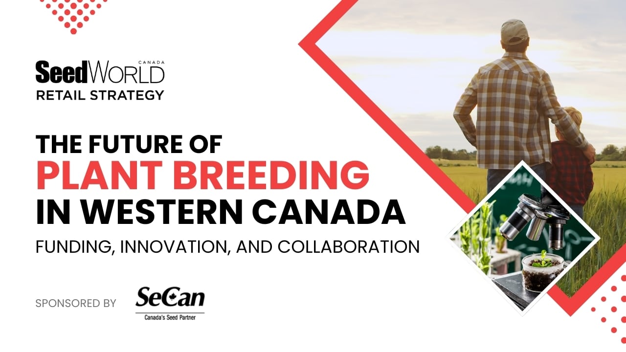 Canada’s Wheat Breeding System Cannot Stay Status Quo, Leaders Warn in New Webinar