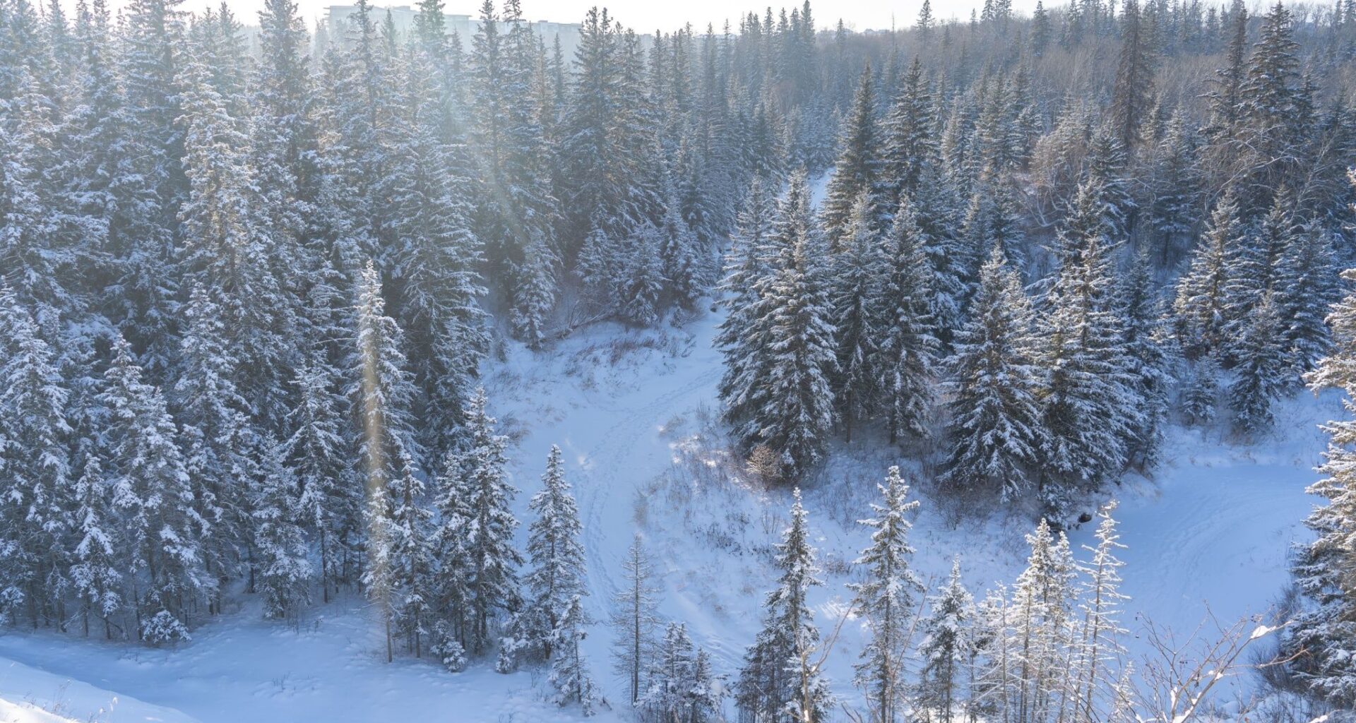 10 things to do this week in Edmonton (March 2-6)