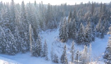 10 things to do this week in Edmonton (March 2-6)