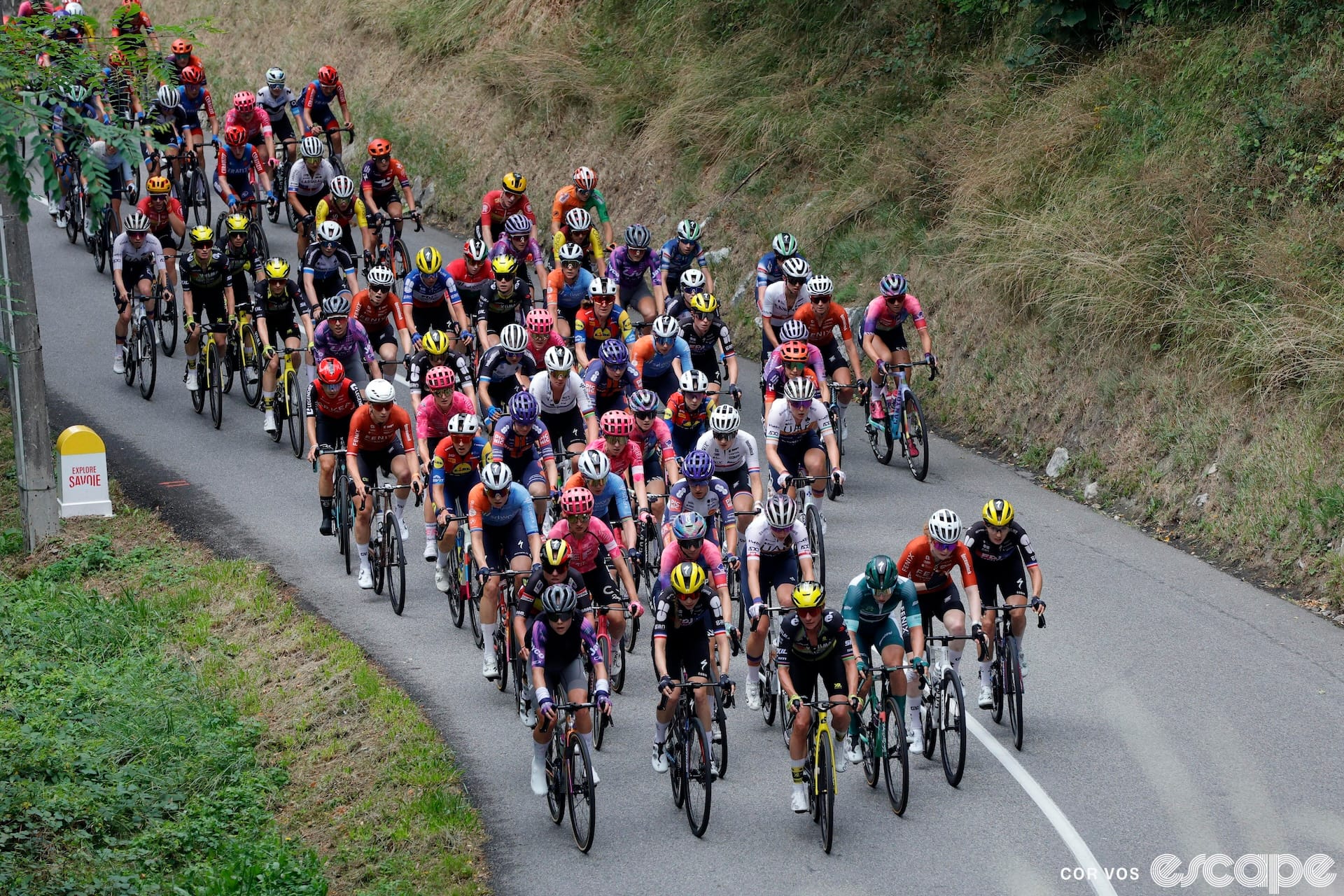 The Cyclists' Alliance asks for support amid an 'urgent funding crisis'