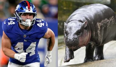 'I can get away from like a baby hippo'