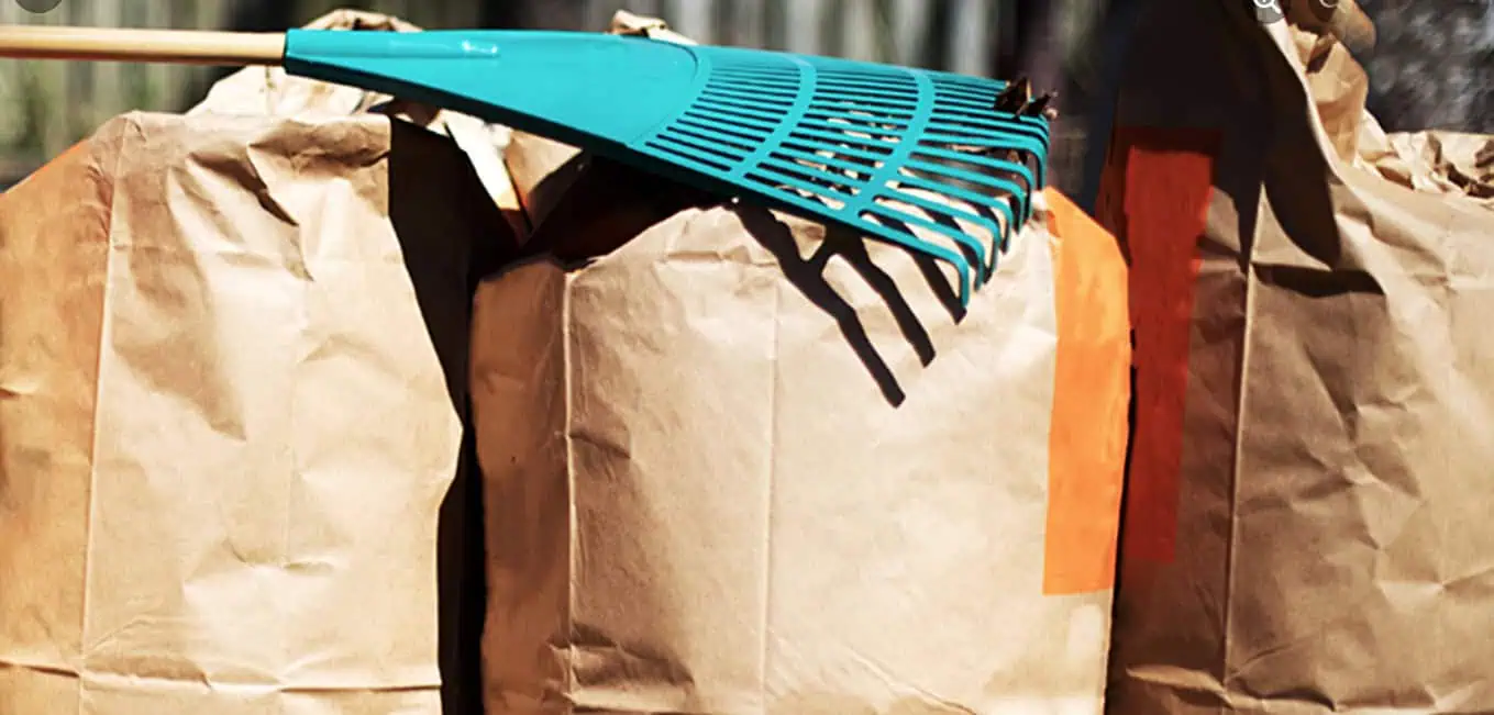 yard waste Mississauga Brampton Caledon Peel