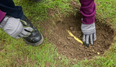 Natural gas line strikes drop in Nanaimo, but still leads Vancouver Island | NanaimoNewsNOW