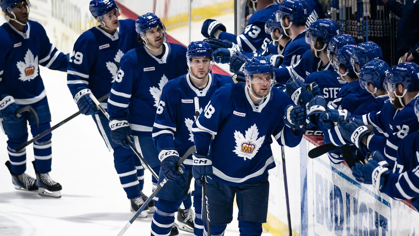 Carl Dahlstr  m celebrates his goal for the Toronto Marlies with his teammates at the Adirondack Bank Center in Utica on Friday, May 5, 2023. Toronto defeated Utica 4-1, eliminating the Comets from the playoffs.