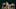 Oregon Ducks Dillon Thieneman NFL Combine NFL Draft NFL Playoffs Big Ten Dallas Cowboys Derrick Harmon Oregon Ducks Dillon Thieneman NFL Combine NFL Draft NFL Playoffs Big Ten Dallas Cowboys Derrick Harmon
