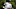 Chicago White Sox first baseman Munetaka Murakami Chicago White Sox first baseman Munetaka Murakami