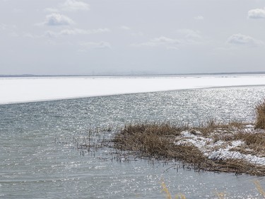 Open water along the northwest shore of McGregor Lake near Milo, Ab. on Tuesday, March 31, 2026.