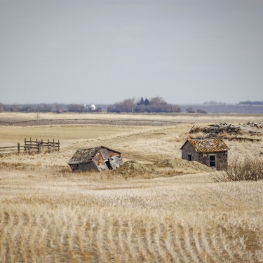 An old homestead in the snowless country south of Lomond, Ab. on Tuesday, March 31, 2026.