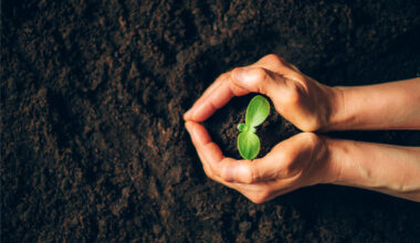 Nature investments could unlock billions for Canada while boosting environmental resilience