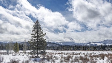 Full-on winter in the Jumpingpound Creek valley west of Calgary, Ab., on Tuesday, April 7, 2026.