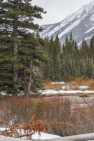 Snow sweeps in from passing squalls along the Kananaskis River by Fortress Junction, Ab., on Tuesday, April 7, 2026.