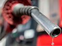Gas at the pump.