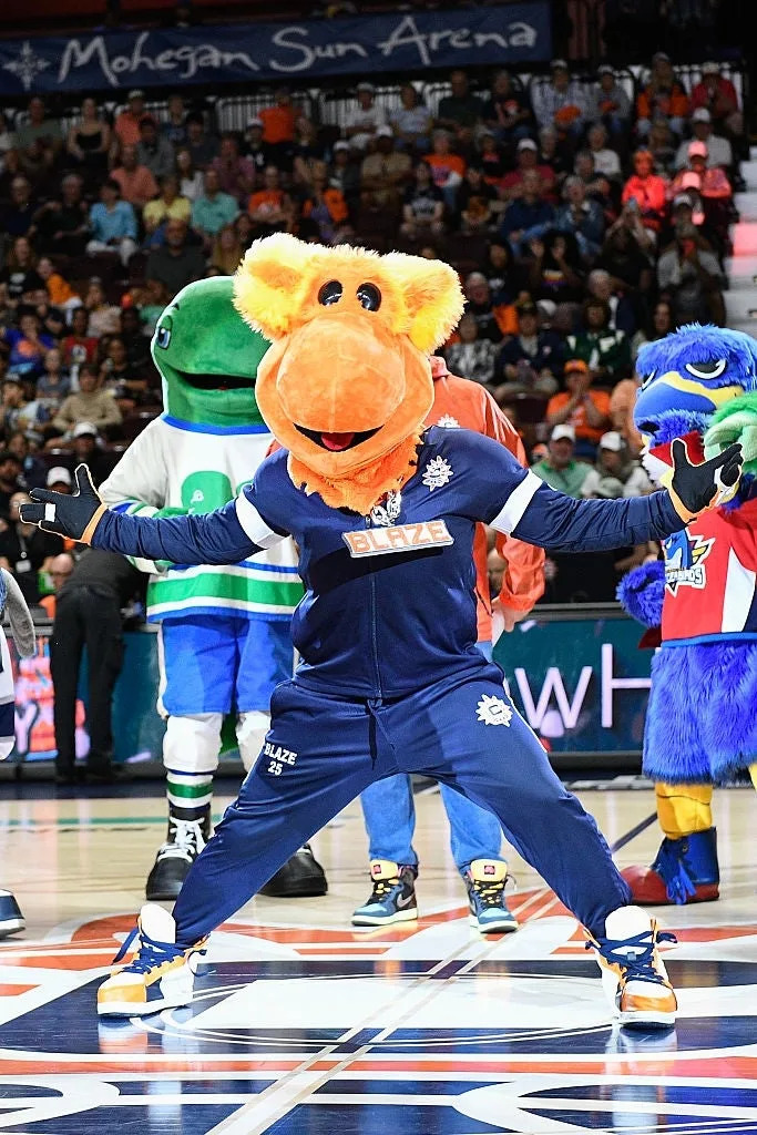 Mascots perform with energetic poses on a basketball court in front of an audience