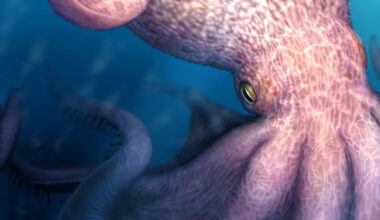 Kraken-like giant octopus ruled the seas in the time of the dinosaurs, study suggests