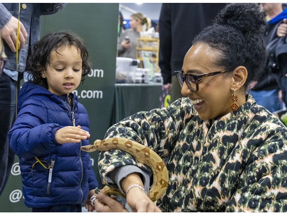  Visitors meet a boa at the Western Canadian Reptile Expo at the Acadia Recreation Centre on Saturday.