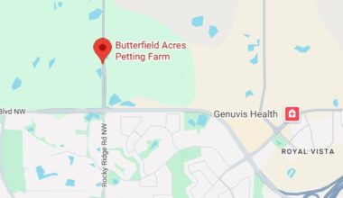 Cryptosporidium outbreak declared at Calgary petting farm; visitors may have been exposed - DiscoverAirdrie.com
