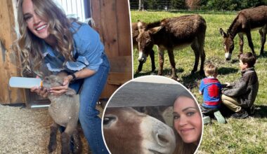 Carrie Underwood reveals why Tennessee home life can be 'frustrating' after fleeing Hollywood spotlight