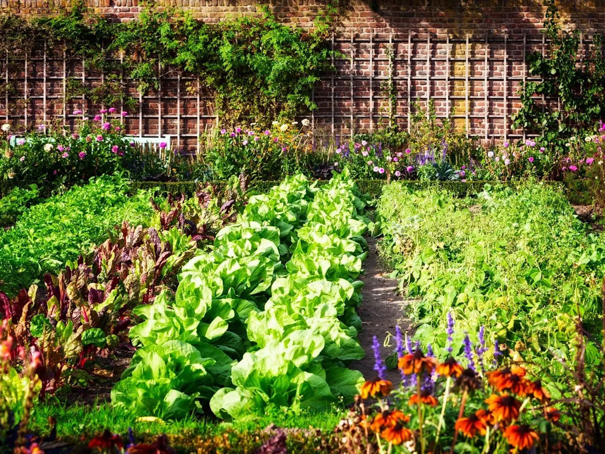 Growing Things: When to plant vegetables in Edmonton