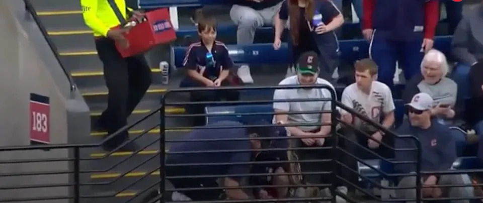 The video showed both Quinn and Evelyn on the ground trying to grab the ball at the same time (MLB/Rays TV)