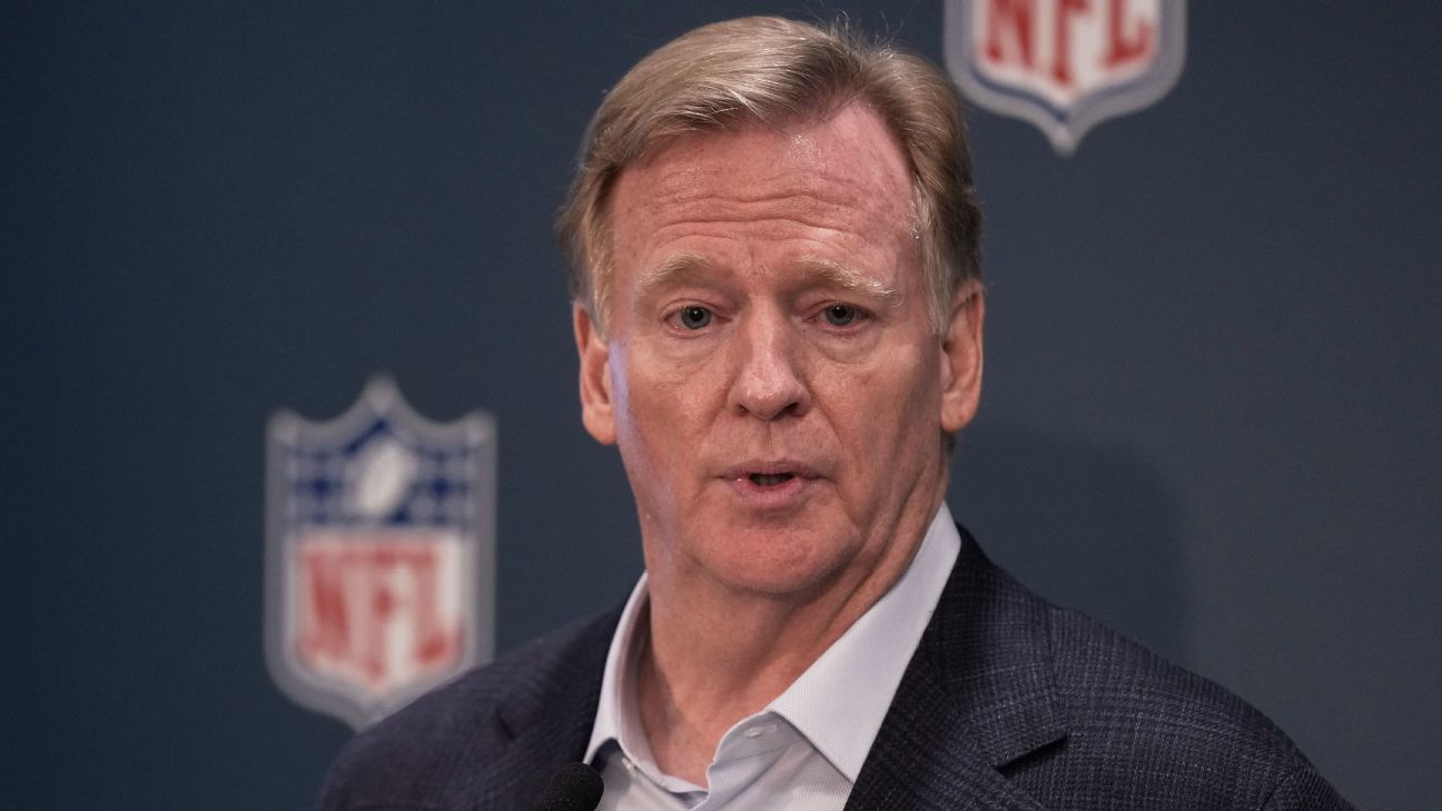 Goodell backs Rooney Rule, says diversity 'a benefit' to NFL