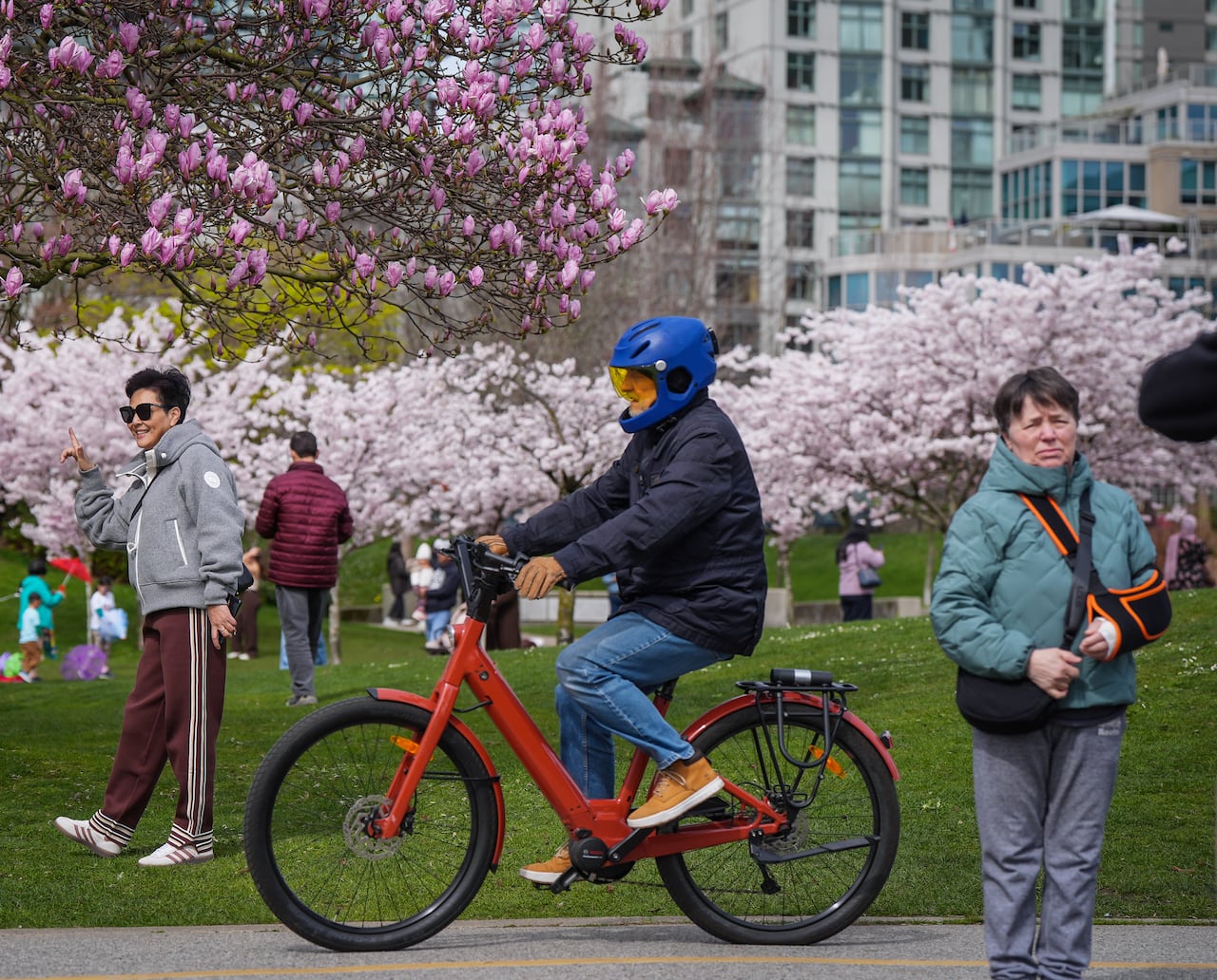 A cyclist rides past people posing for photos with cherry blossom trees and magnolias in full bloom.